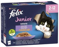 Felix Fantastic Junior Krmivo pre mačiatka, výber príchutí v želé, 12x85g