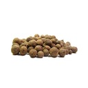 ALLPISE SEED 1kg + PREKVAPENIE