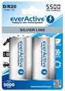 2x everActive R20/D 5500 mAh Ni-MH batérie