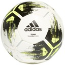 Futbalový tím adidas Junior Messi R4