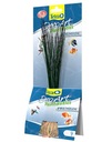 Tetra DecoArt Premium Hairgrass 24 cm Tráva