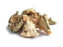 Opuncia list NOPAL 50 g - Aromatika