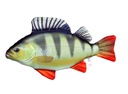 GABY plyšový vankúšik rybička PERCH mini 35cm