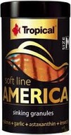 TROPICKÁ AMERIKA M 250ml 150g NEON SESTRA