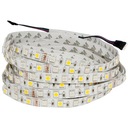 RGBW pásik + studená 300 LED SMD5050 IP20 5m