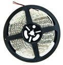 LED PÁS 3528 5m x 8mm 300DIODY 24W 12V DC STUDENÁ