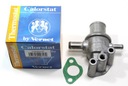 Termostat FIAT Cinquecento Seicento 899 vstrek