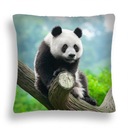 VANKÚŠ VEĽKÝ 50*50 MX 05 MEDVEĎ PANDA PRÍRODA