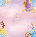 DISNEY RUŽOVÁ TAPETA PRINCEZNÁ PRE DIEVČATÁ