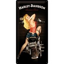 Plaketová tabuľa HARLEY-DAVIDSON kov 25X50cm