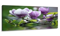 PANORÁMA OBRAZ MAGNOLIA KVETY 150x60 DO OBÝVAČKY