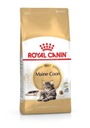 ROYAL CANIN MAINE COON DOSPELÝ 2KG