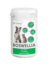 DROMY BOSWELLIA SERRATA 120 tabliet pre psie kĺby