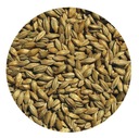 VIENNA slad Viking Malt 5kg