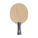 Čepeľ STIGA CARBONIX WOOD WRB legenda, stolný tenis